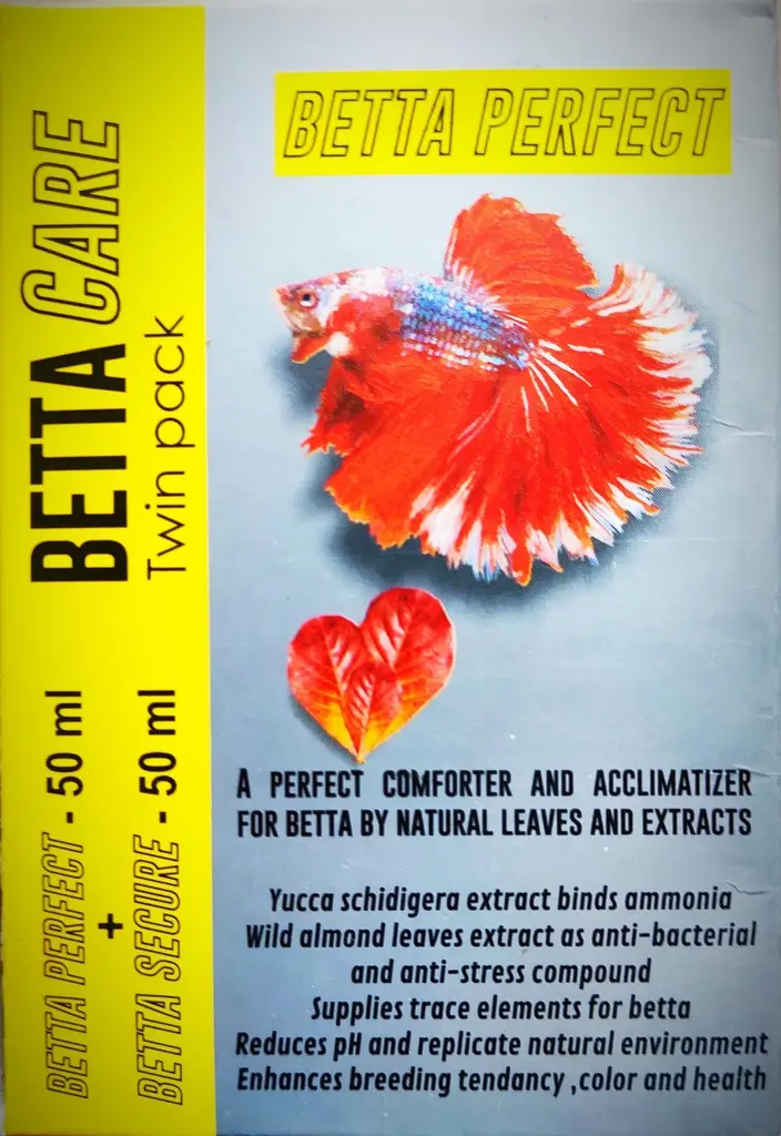 Betta Care 3.webp